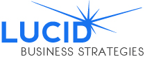 Lucid Business Strategies